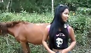 Horse adventures