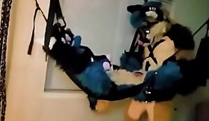 Furry Tied Up and Fucked